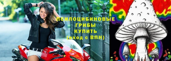 скорость Алексин