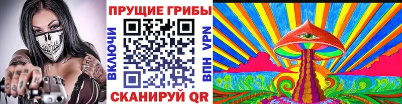 Псилоцибиновые грибы Cubensis  магазин  наркотиков  blacksprut как войти  нарко площадка формула  Мегион 